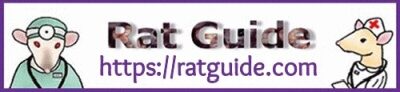 Rat Guide